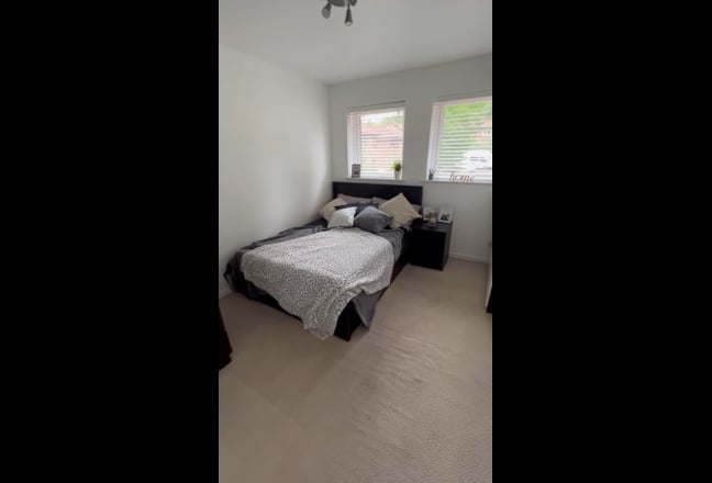 Professional, sociable and friendly home Main Photo