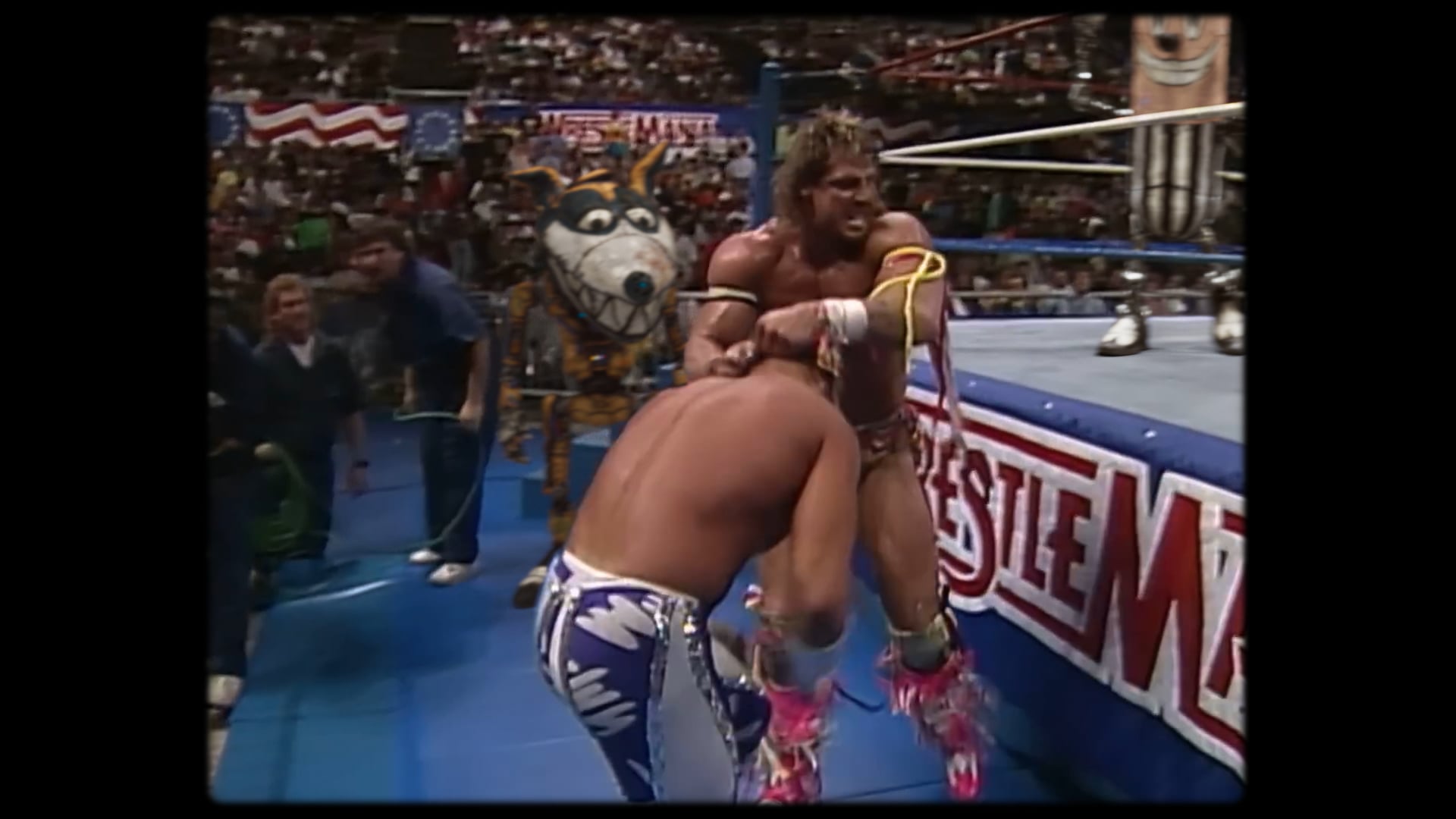 TV60 "Revisionist History WWE"