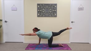 Hatha Yoga All Levels with Amita - Apr 9 25