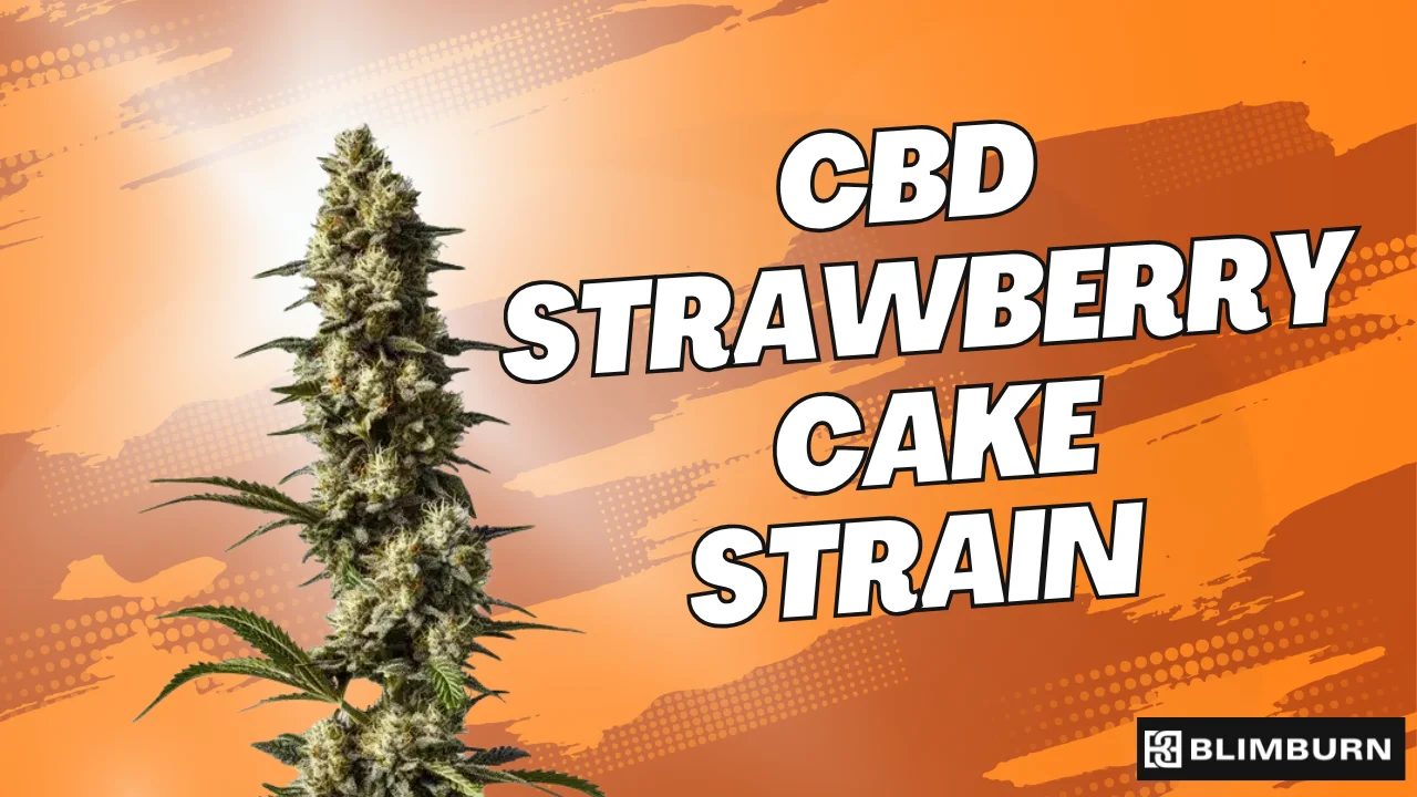 CBD Strawberry Cake | 0.5% THC | Buy Cannabis Seeds