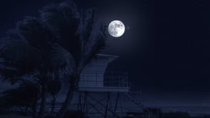 social header