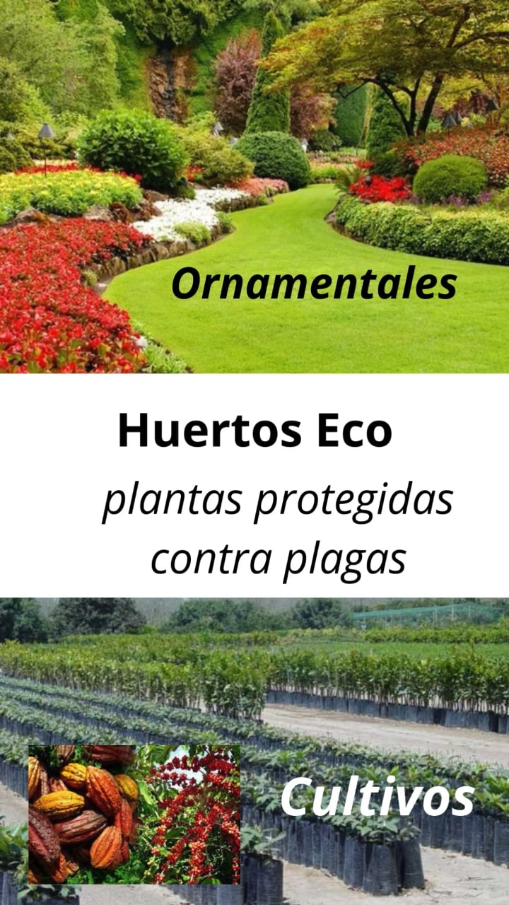 https://i.vimeocdn.com/video/2003823818-b04c0157f8e84adc528027114260ce0090e798542078318b6d91727991be716e-d
