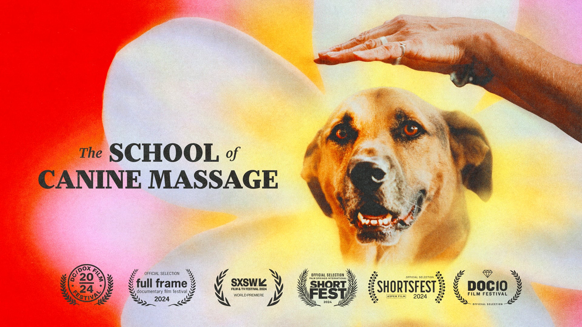 The School of Canine Massage | Videos & Movies on Vimeo