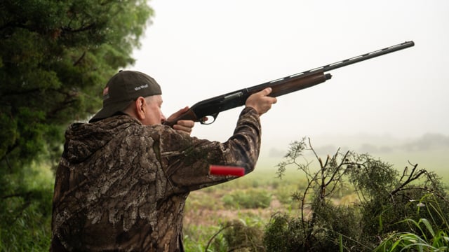Tons of Birds and Great Fun!