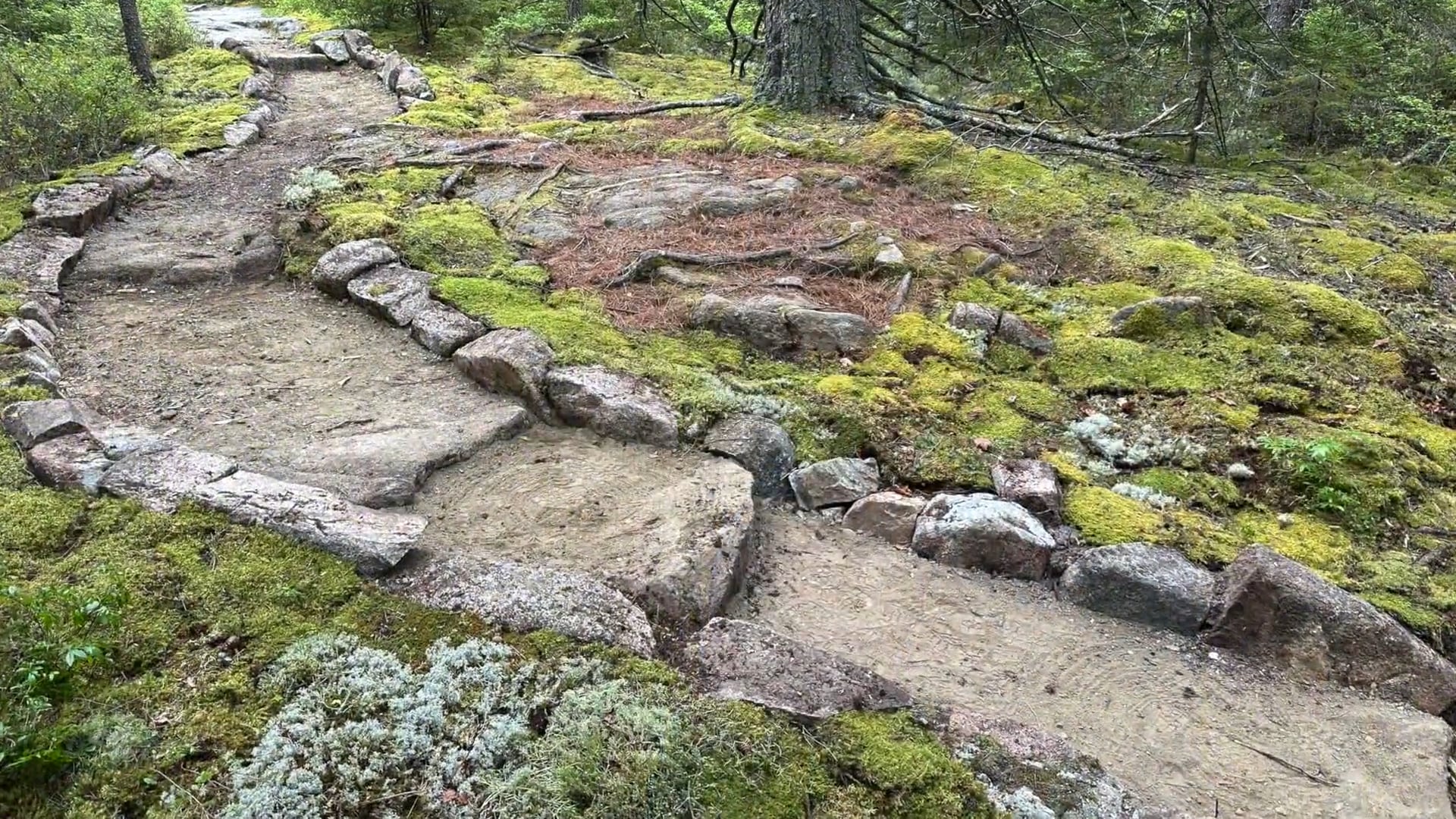 Lands and Trails Video 2024