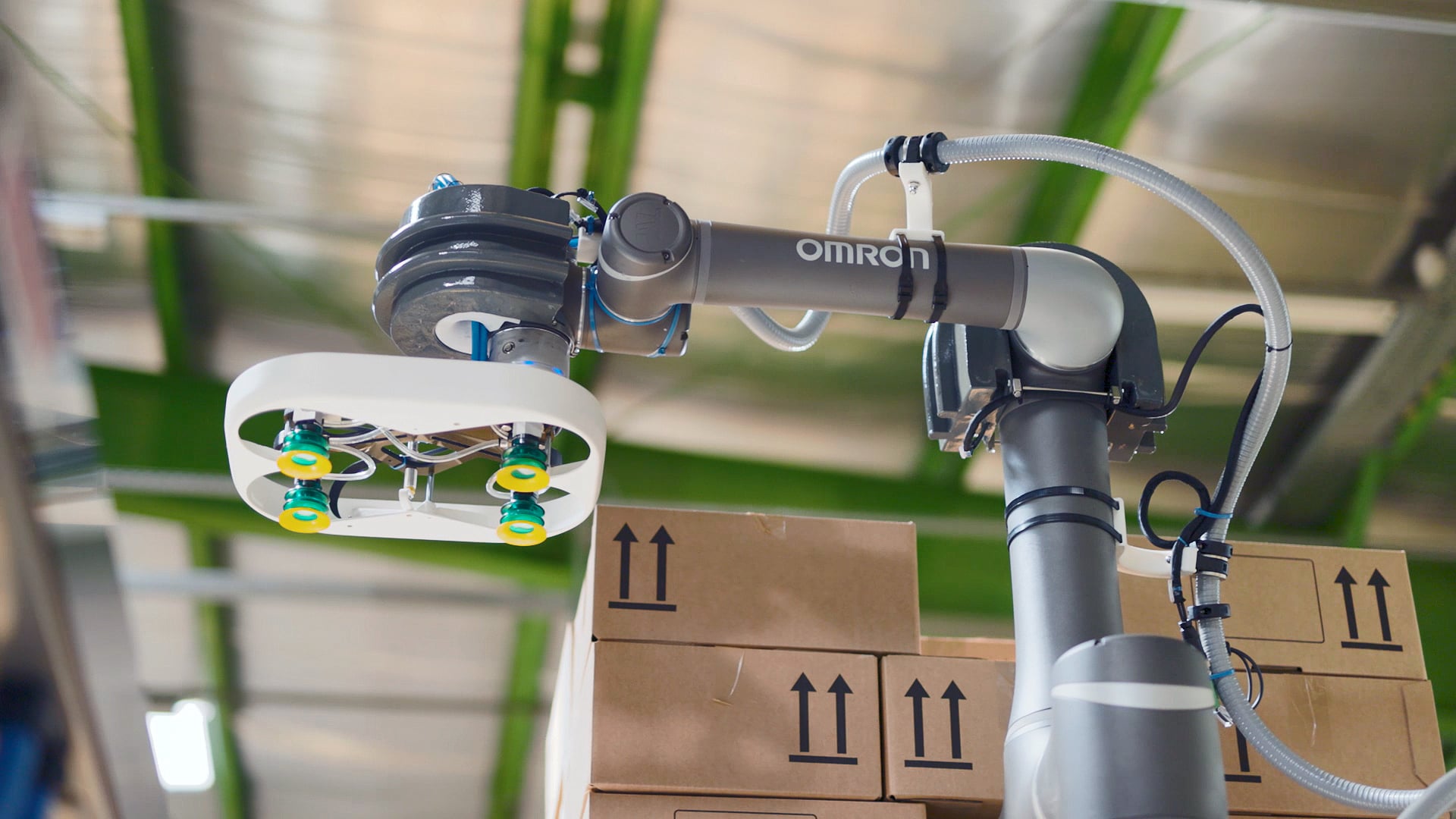 How FlexLink and OMRON's Cobots Boost Efficiency by Processing 8 Boxes ...