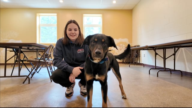 Lucy Mackenzie Humane Society:  April "Adoptables"