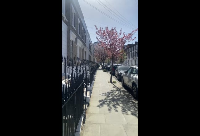 Photo 1: undefined