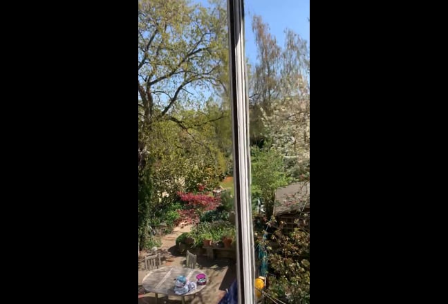 Video 1: