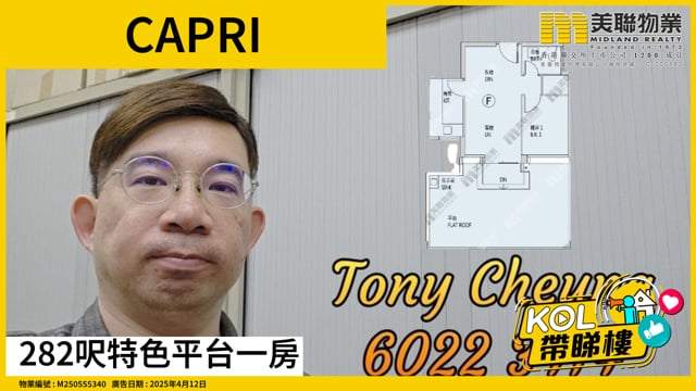 282呎特色平台一房
