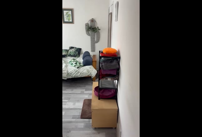 Video 1: