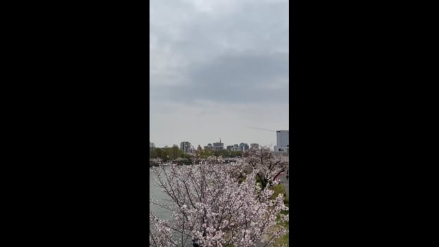 ブルーインパルスと桜のサムネイル画像