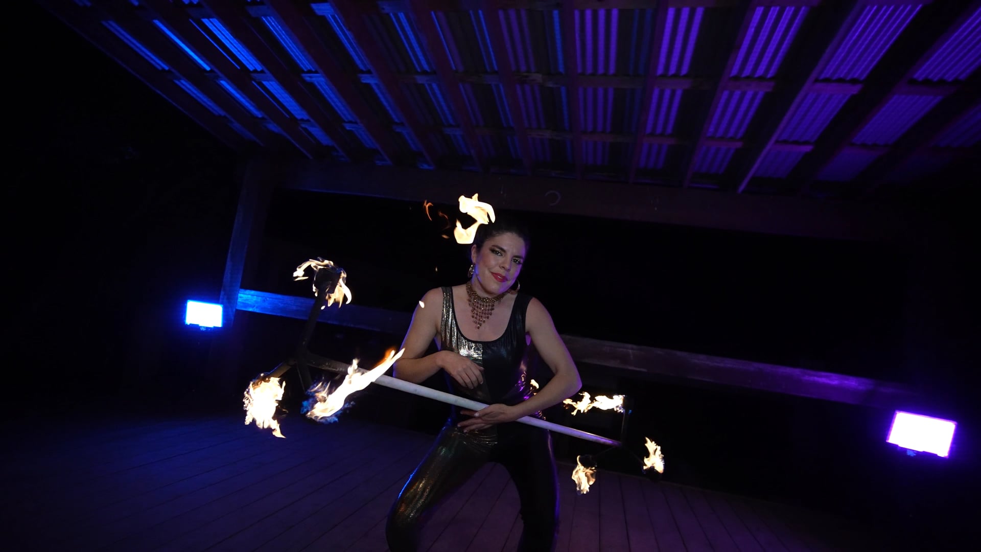 Promotional video thumbnail 4 for Expressive Entertainers