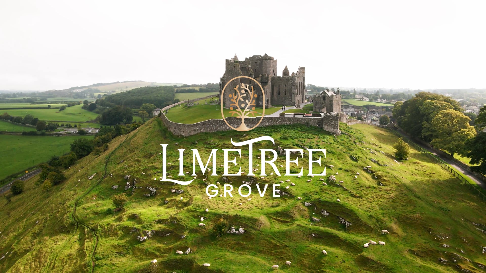 Lime Tree Estate Cashel