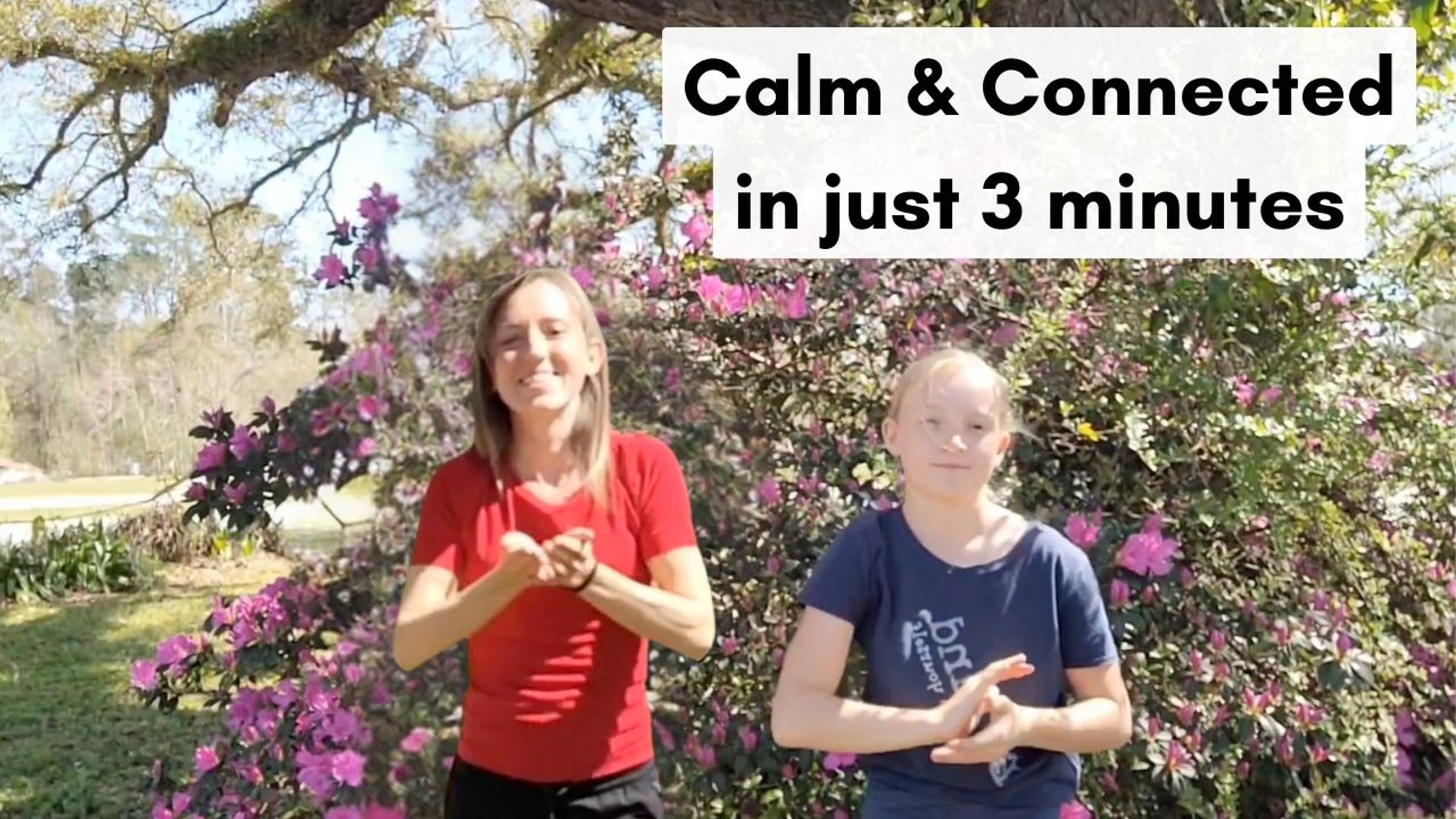 Connect and Calm Mindbody Movements | Videos & Movies on Vimeo