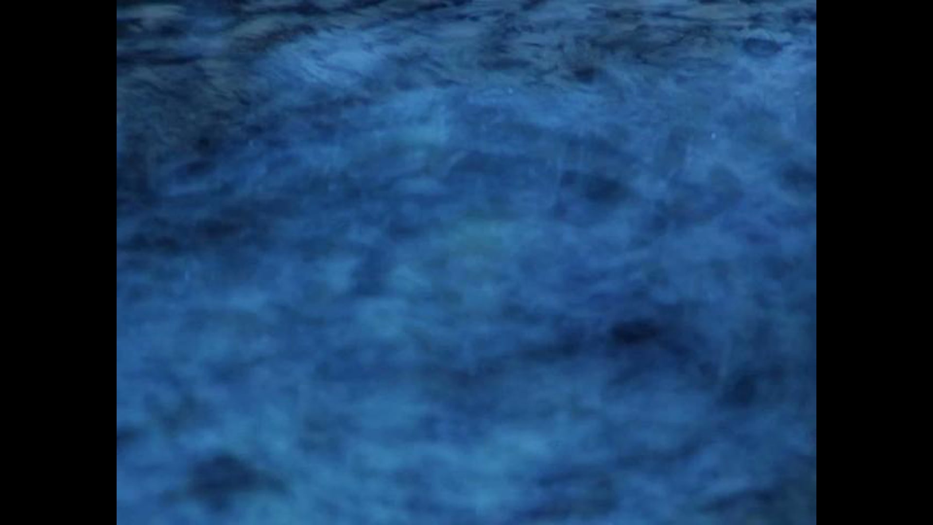 Swimming in the Rain | Poem by Freya Manfred | Film by Gregory Winter