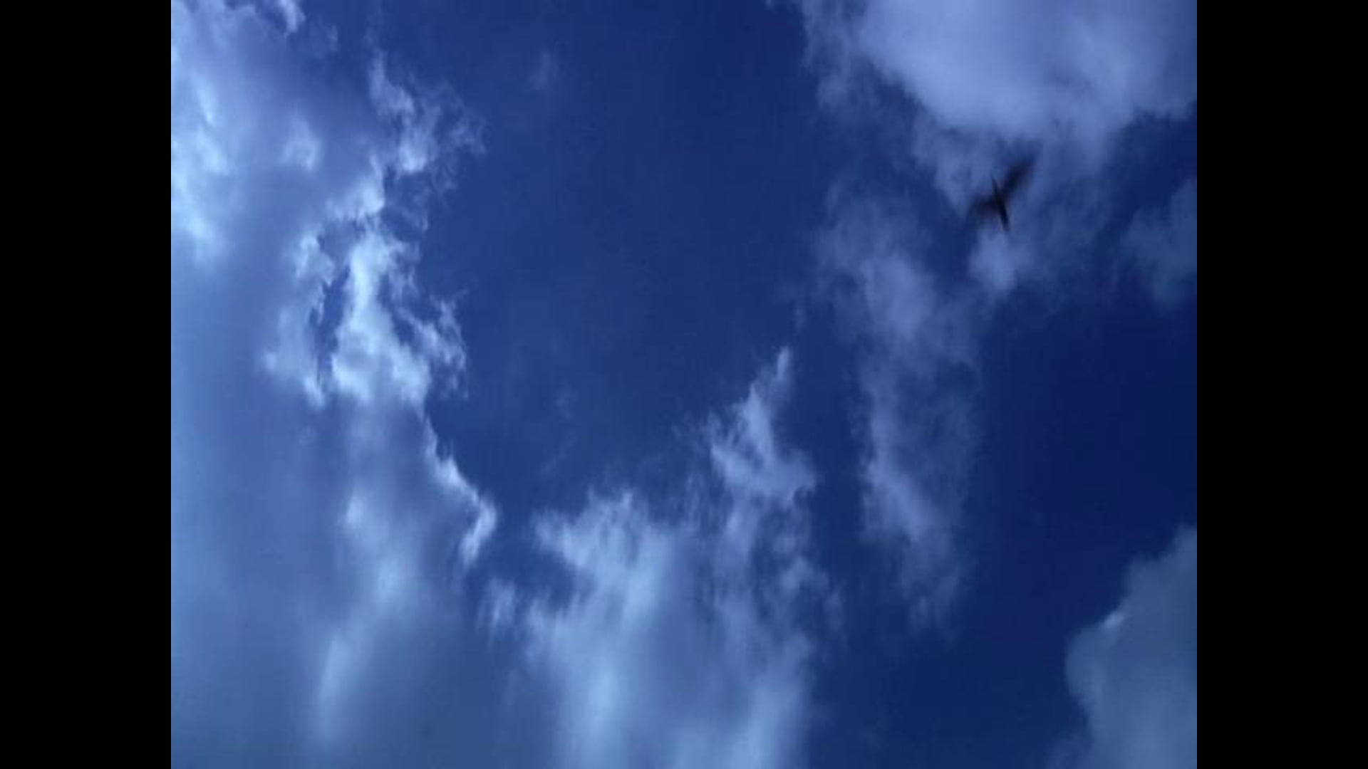Swimming Into Winter | Poem by Freya Manfred | Film by Gregory Winter