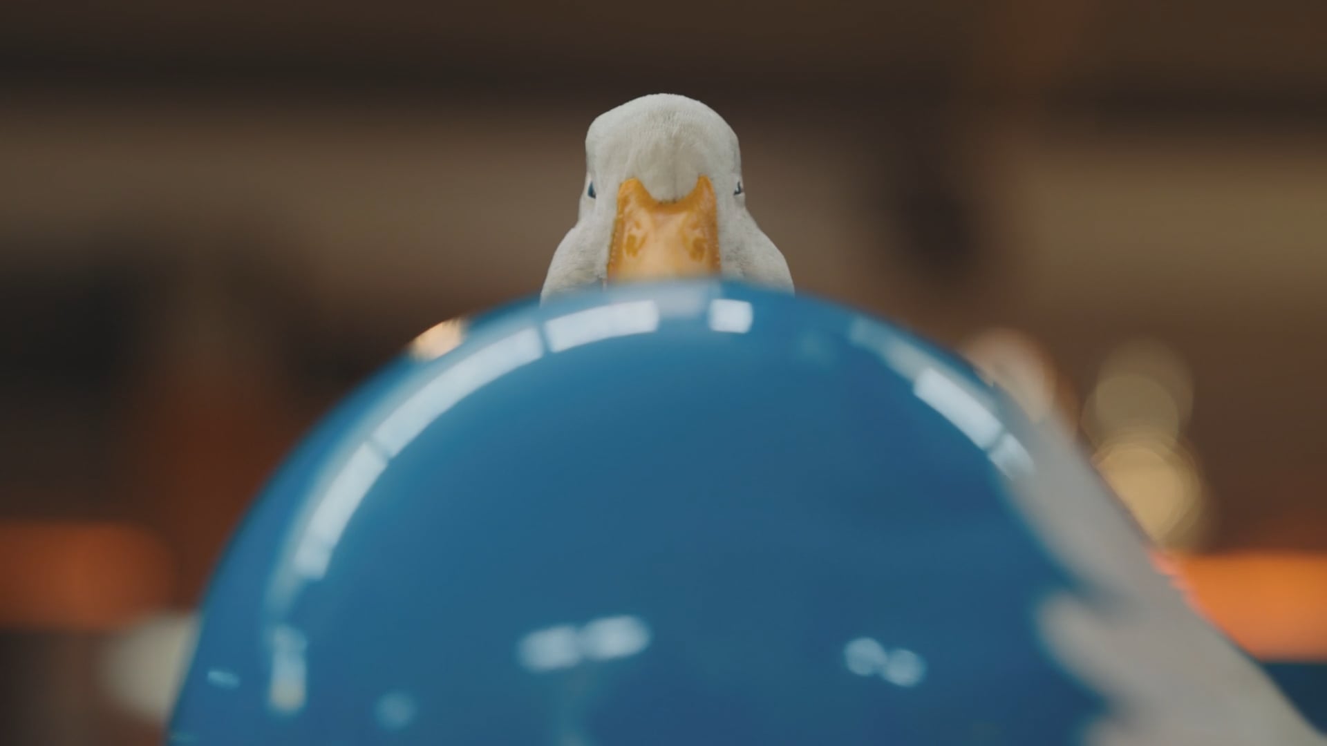 AFLAC
