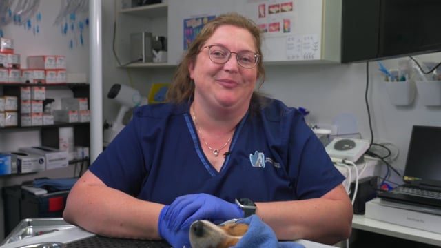 What are the benefits of ReGum™ Vet? Video Thumbnail Image