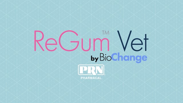 Video thumbnail image for - What are the benefits of ReGum™ Vet? (Part 1 of 4)