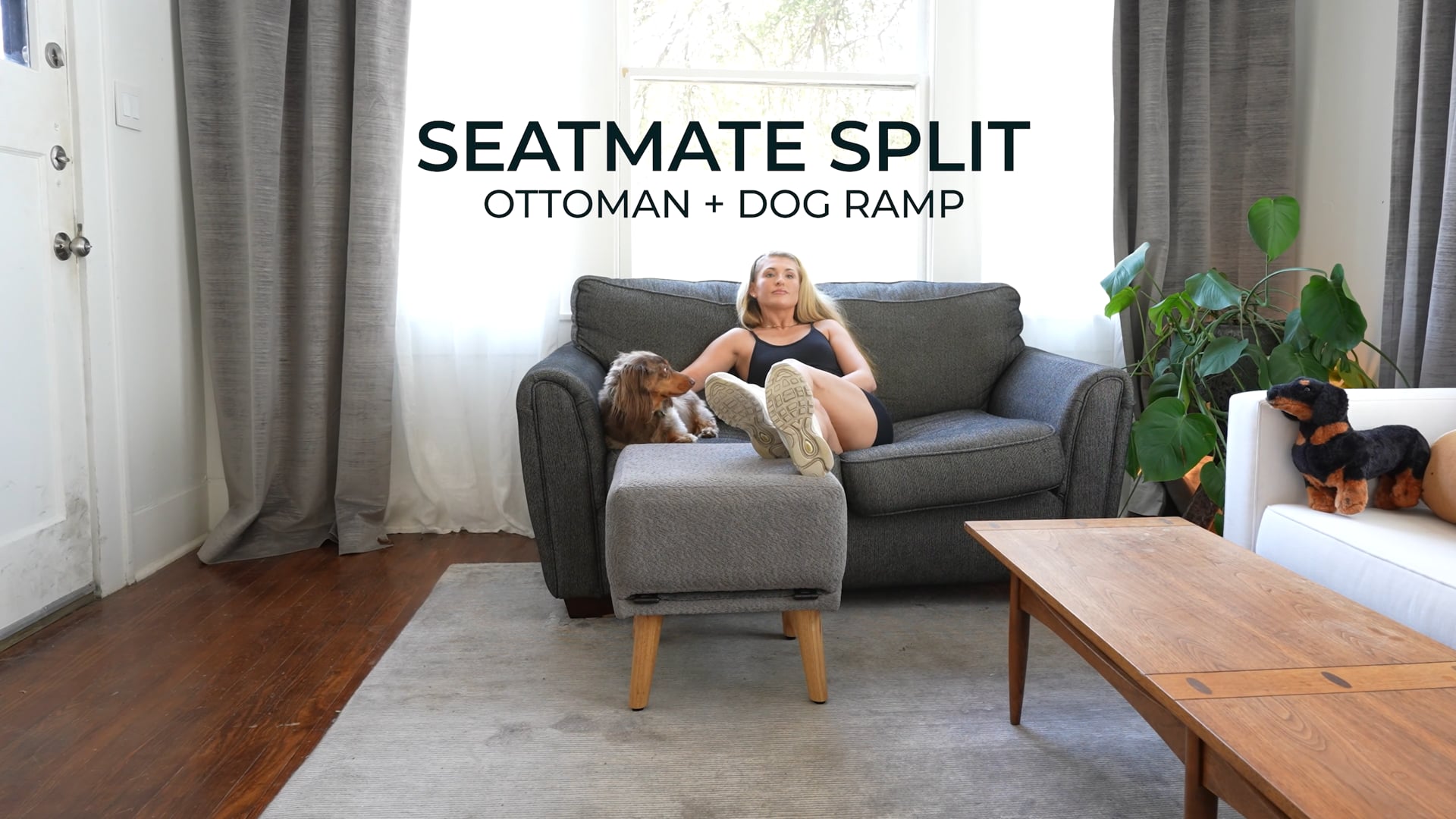 Kickstarter Video - SeatMate