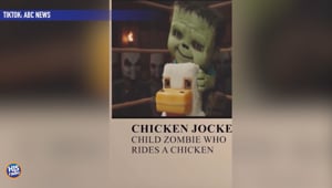 CHICKEN JOCKEY