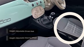 FIAT 500 2019 (19)