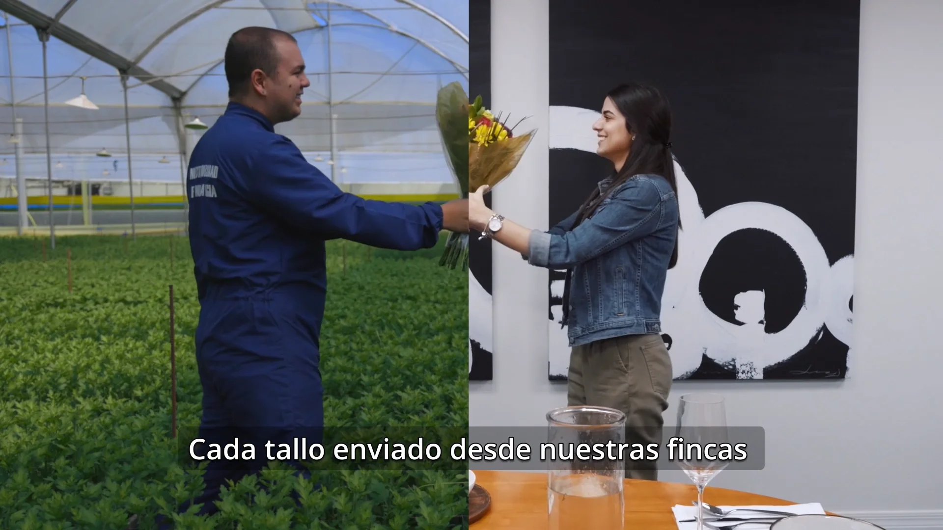 Our Story (Subtitulado) - 2025