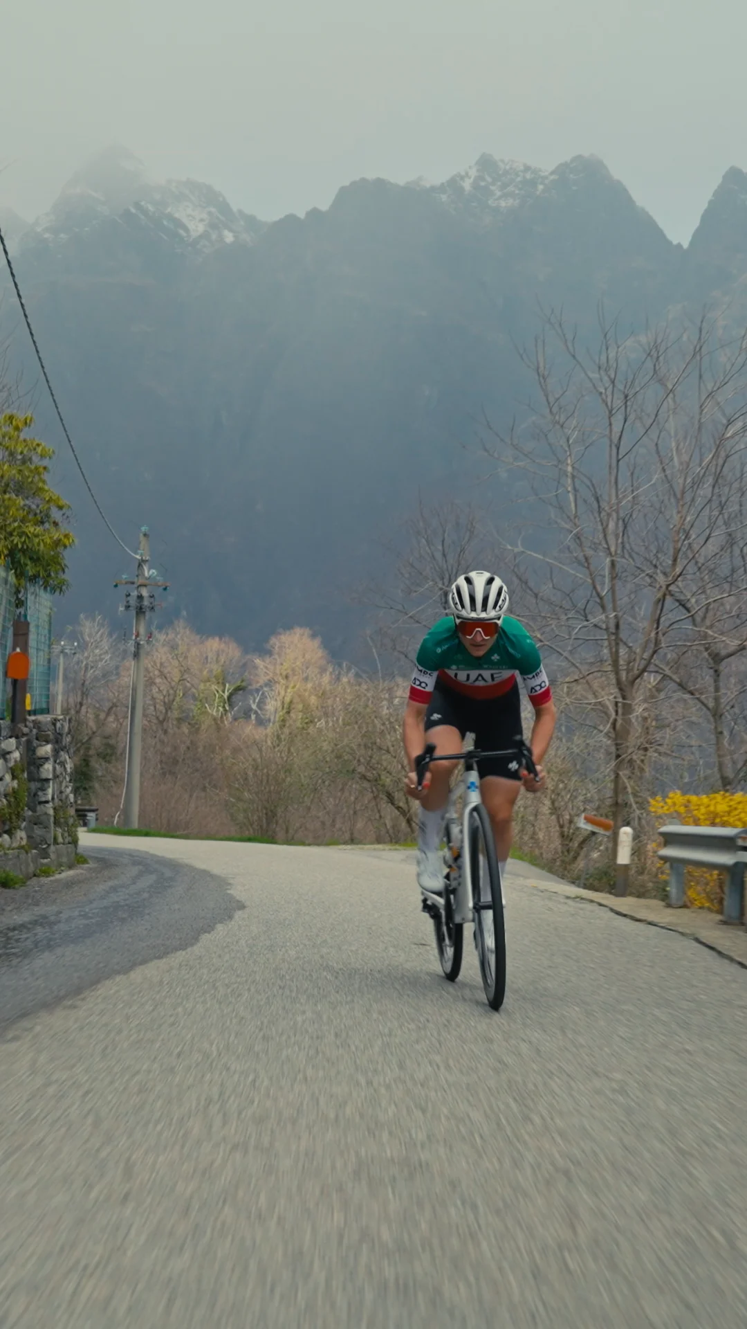 Colnago | Road, Gravel and Time Trial bikes and cycling Colnago | Road, Gravel and Time Trial bikes and cycling