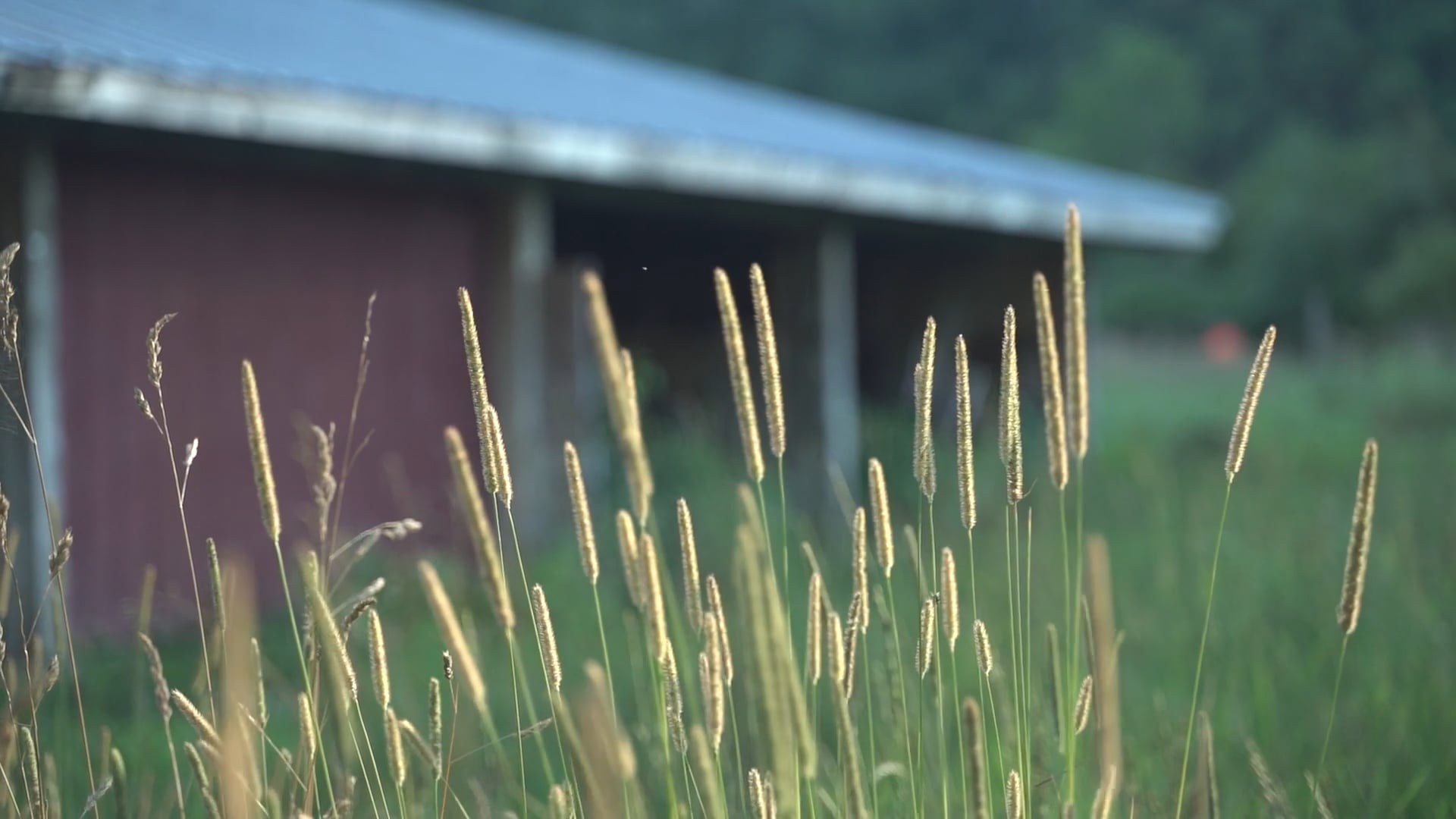 Microgrants for Small Farms: The Wild Harmony Farm story