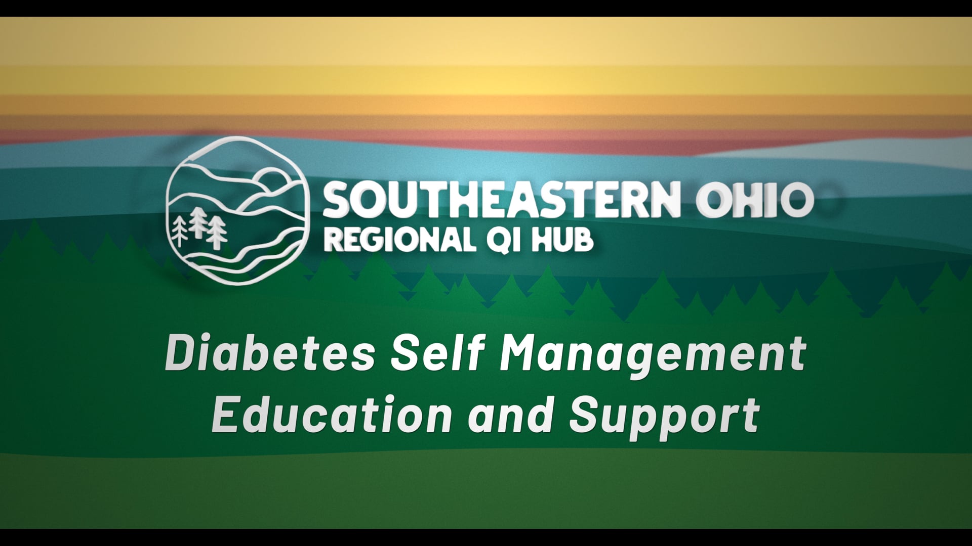 What is DSMES?