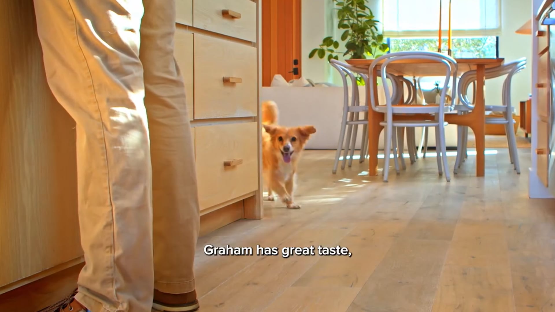 FreshPet - Small Dog Recipe, Ad