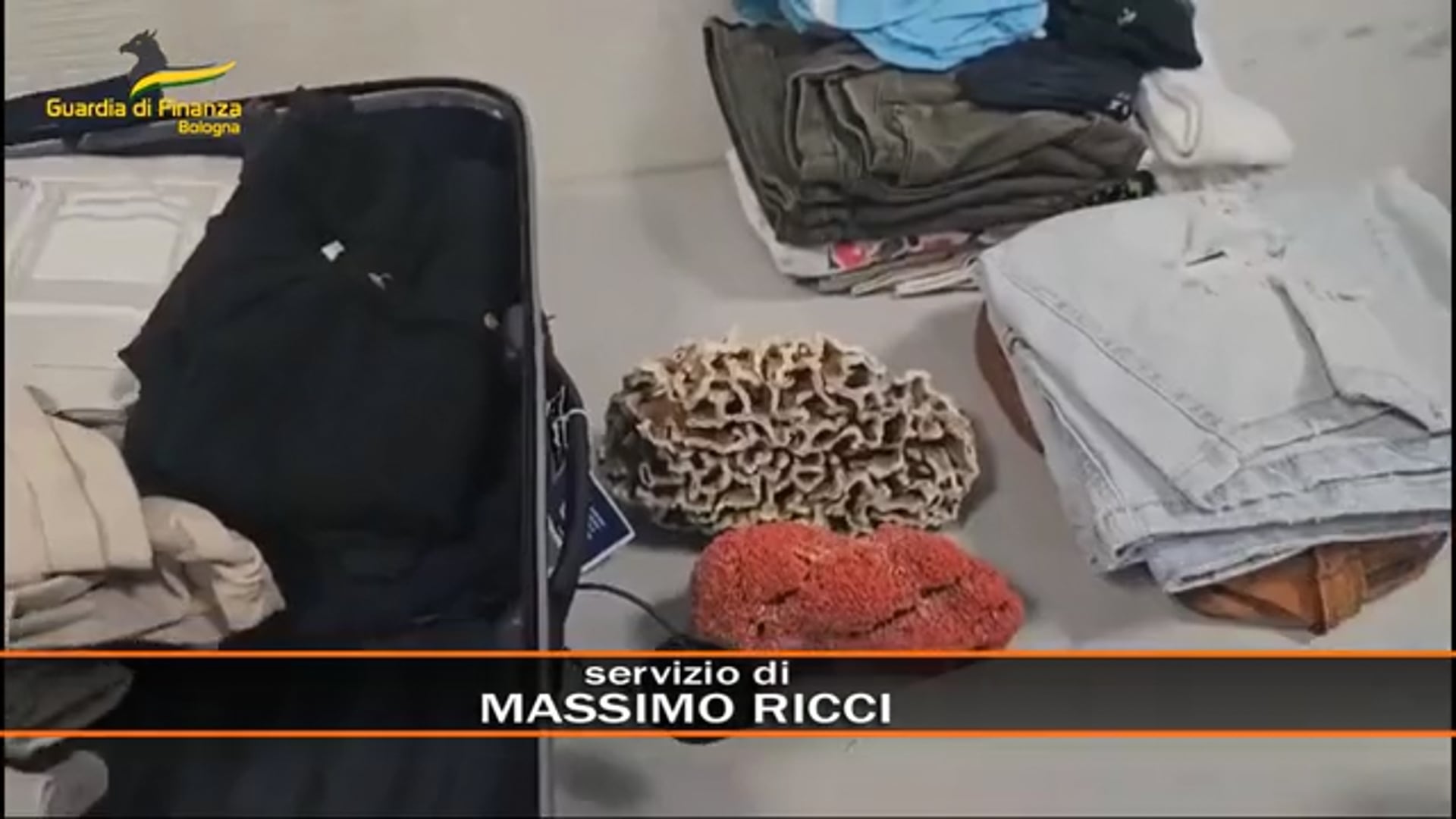 Tutela specie protette: sequestrati coralli, fiori rari e caviale all’aeroporto Marconi di Bologna
