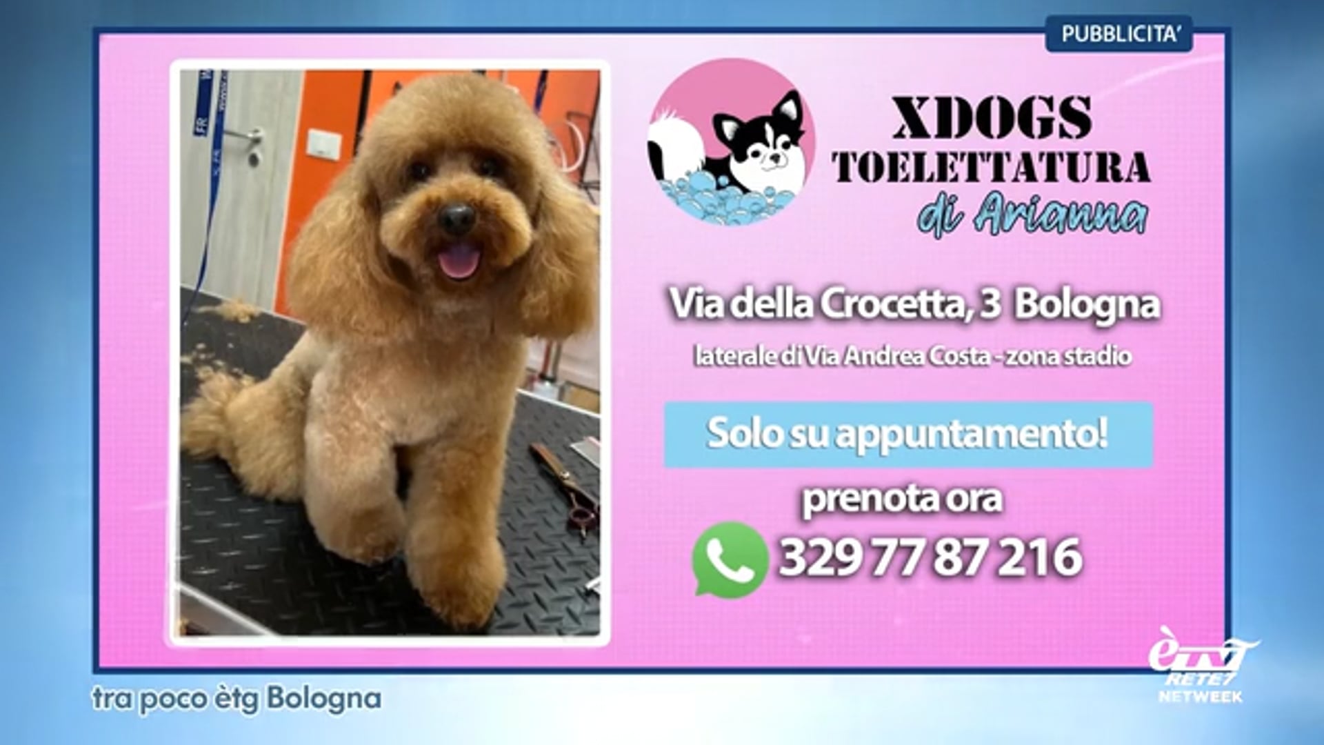 èTG –  Edizione Sera 16/03/2025