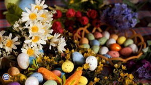 Deep Dive Into Easter