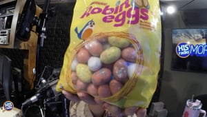 WE HAVE ROBIN EGGS!