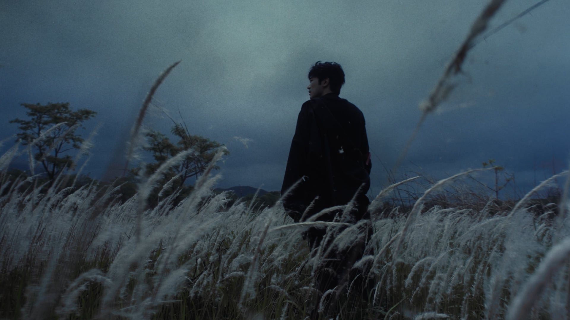 SEARCHLIGHT - Searchlight (Official Music Video)