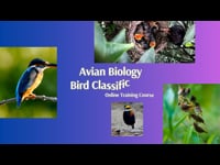 Avian Biology - Intro