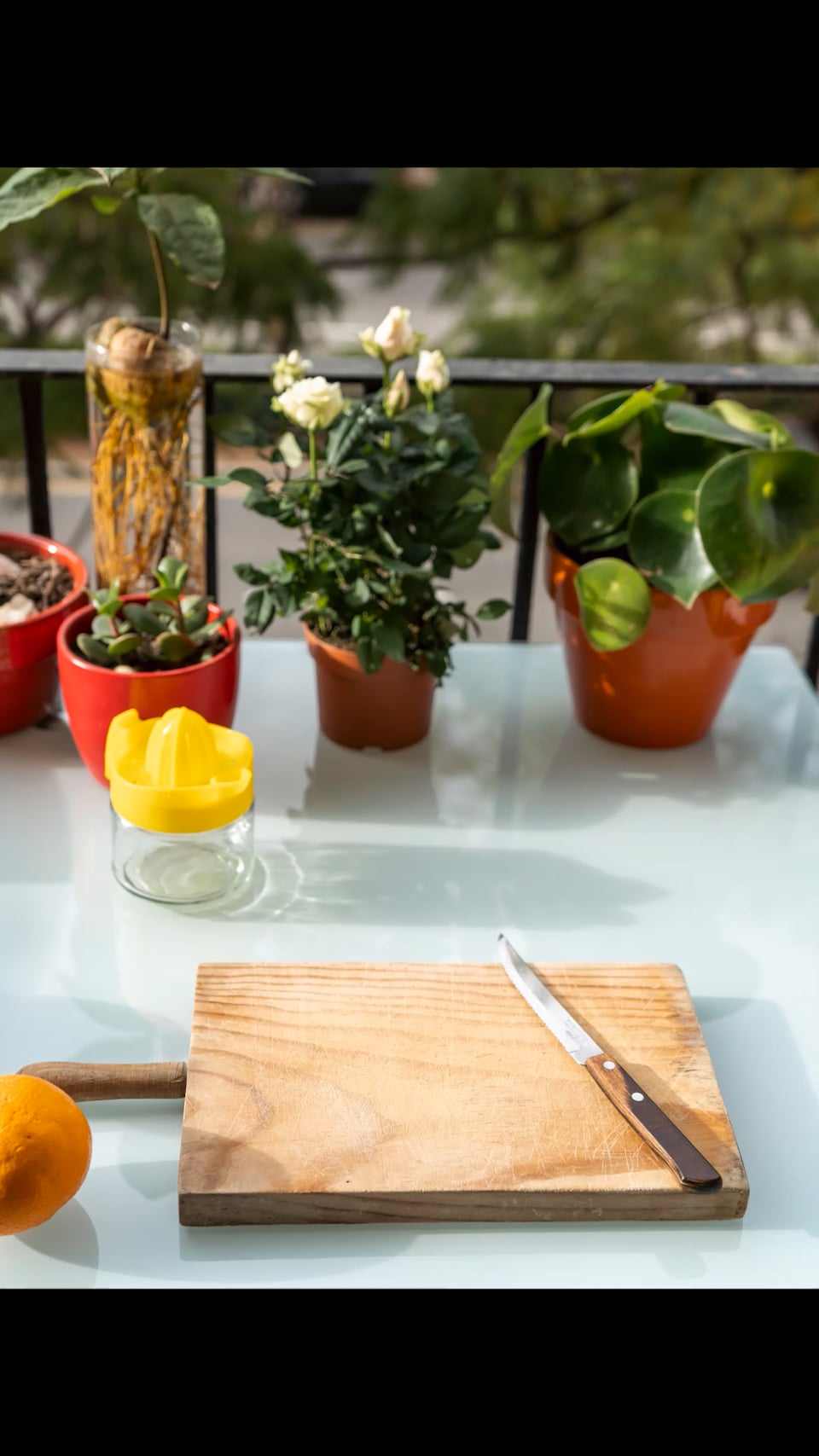 Así nació mi primer stop motion: Naranjas en movimiento.