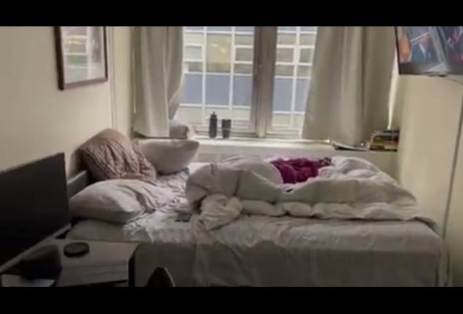 Seeking roommate for lease renewal Main Photo