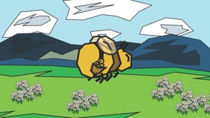 Busy Bees!