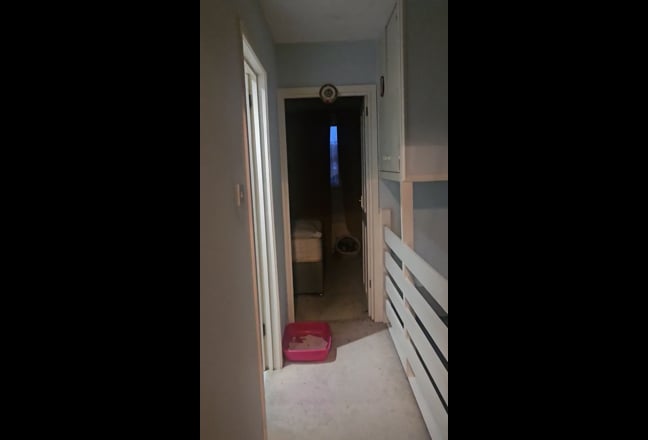 Double room available  in friendly house with pets Main Photo