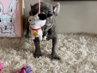 Watch me play!