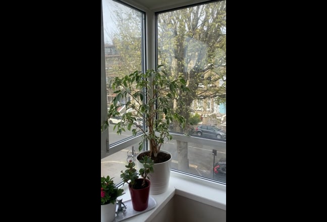 .Double bedroom in Hove flat share Main Photo