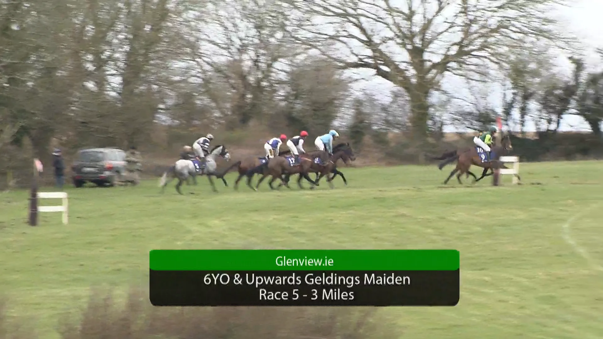 The Price Of Peace Bandon 02-03-25 Race 5 6YO &amp; Upwards Geldings Maiden