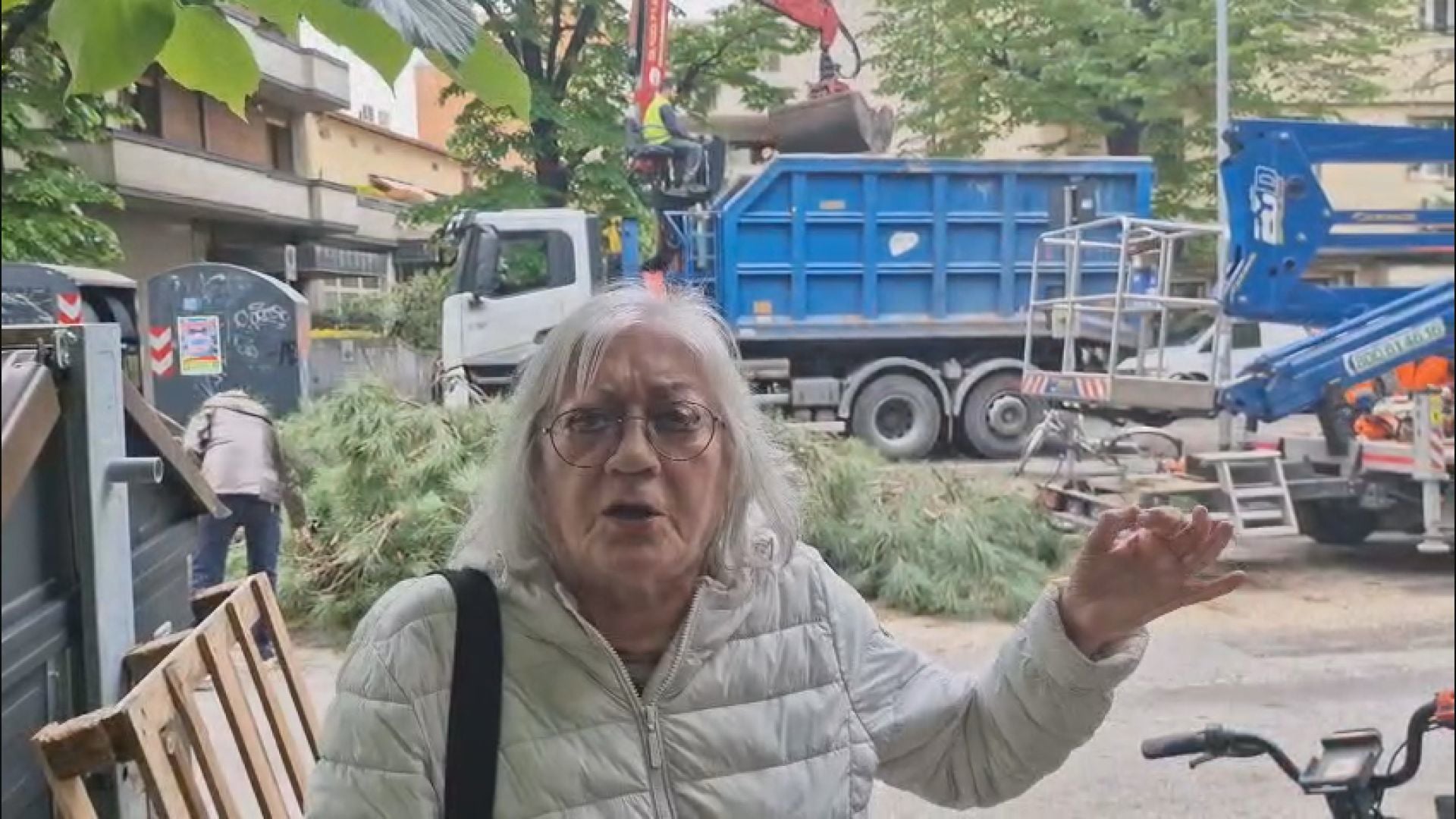 Pini abbattuti in Viale Oriani. I cittadini: “E’ vendetta, imbroglio, arroganza”