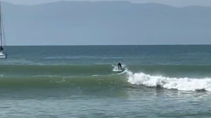 https://i.vimeocdn.com/video/2006643992-472fb46792db68afec9cf83aee334a2d04b6eb7314574d6758ab0e1869608550-d