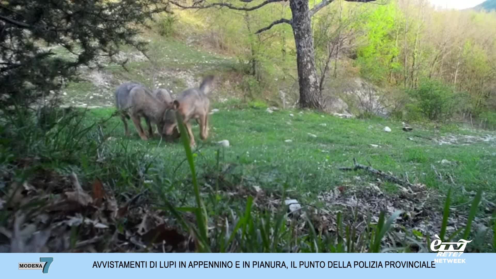 Modena 7 –  Puntata del 18/04/2025