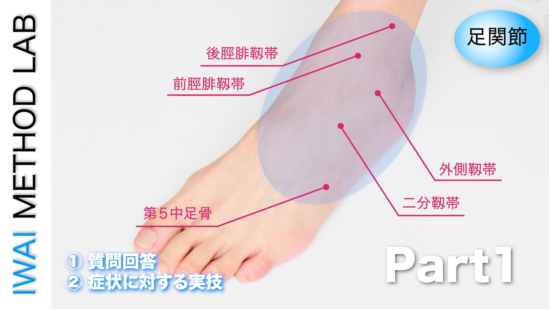 オンライン実技講習：足関節におこる痛みの原因と対処法 Part.1