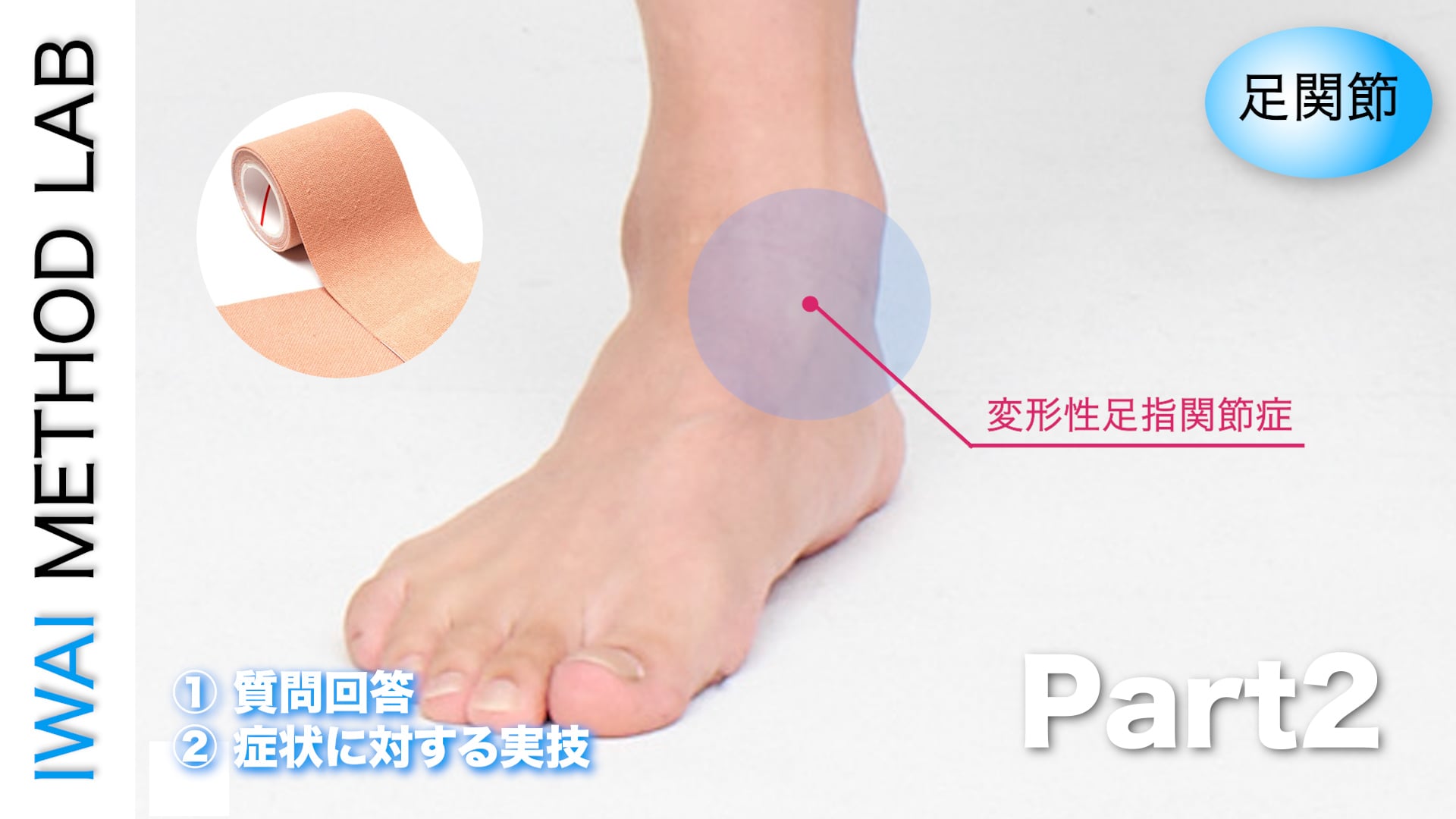 オンライン実技講習：足関節におこる痛みの原因と対処法 Part.2